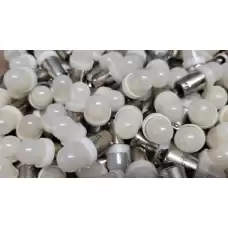 100 Bulb Variety Pack